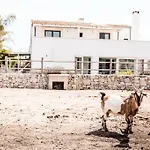 Masseria Prosperi *