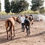 Masseria Prosperi *