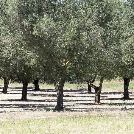 Masseria Prosperi *
