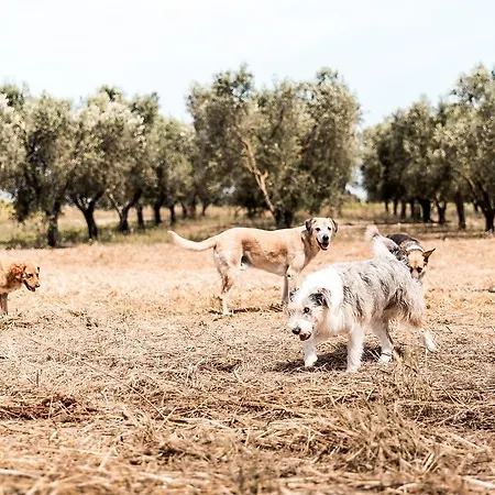 Masseria Prosperi *