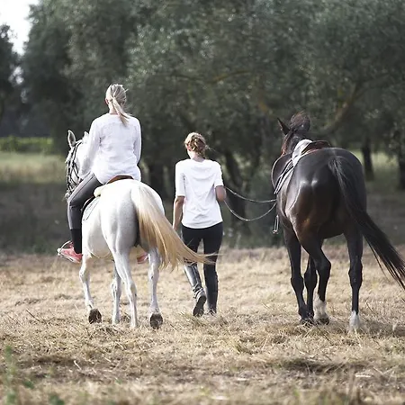 ファームステイ Masseria Prosperi アリミニ