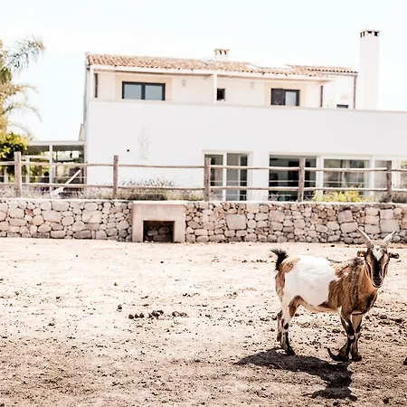Masseria Prosperi *