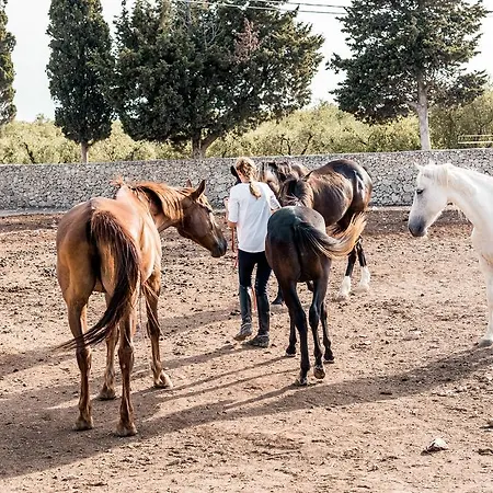 Masseria Prosperi *
