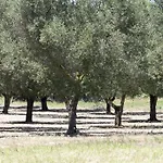 Masseria Prosperi *