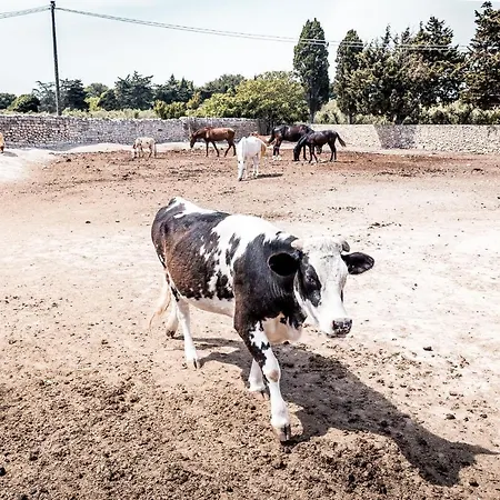 Masseria Prosperi * Alimini