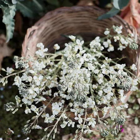 Farma Masseria Prosperi *