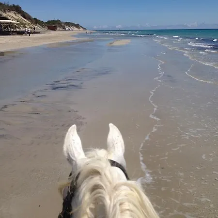 Masseria Prosperi Vakantieboerderij *