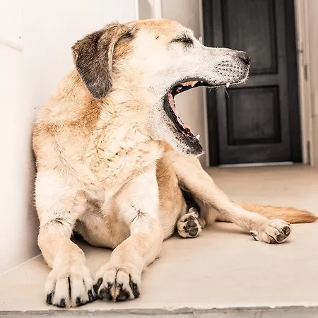 Agroturismo Masseria Prosperi Serra Alimini