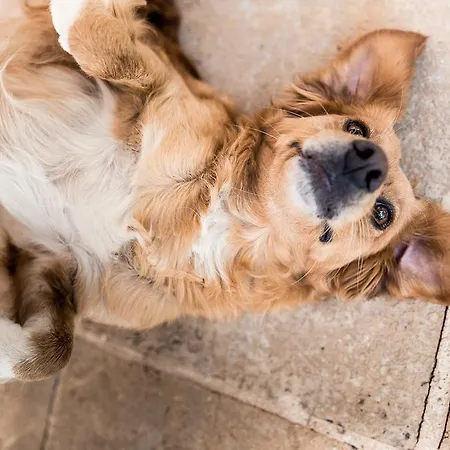 Masseria Prosperi * Serra Alimini