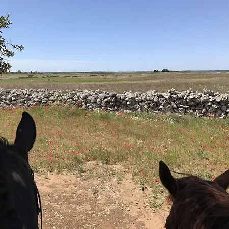 Masseria Prosperi Alimini