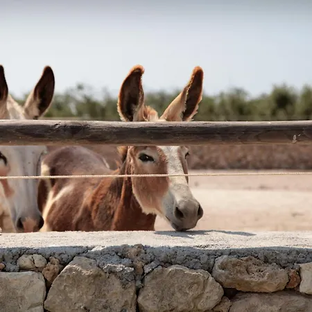 Masseria Prosperi Serra Alimini